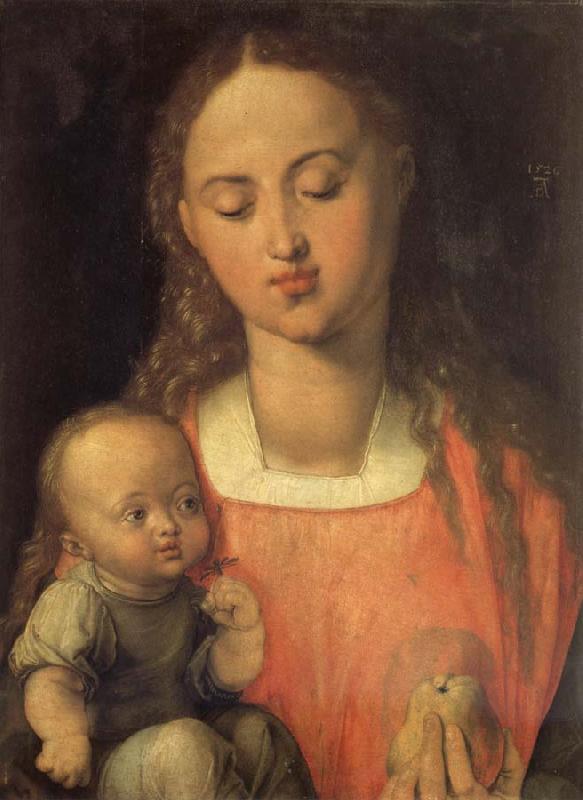 Albrecht Durer The Madonna with the pear